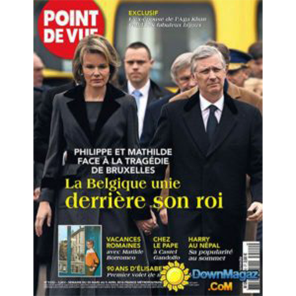 Presse-Christophe-de-Quenetain-Point-de-Vue-2016