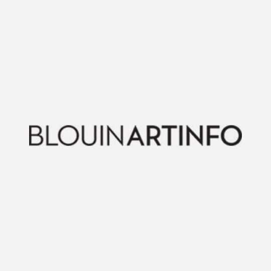 Presse-Christophe-de-Quenetain-BlouinArtInfo-2016